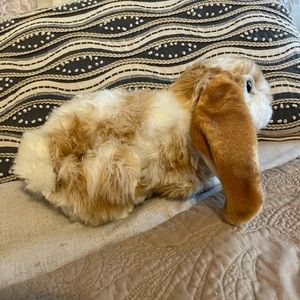 Webkinz special edition Rabbit 🐰